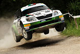 41. San Marino rally 2013